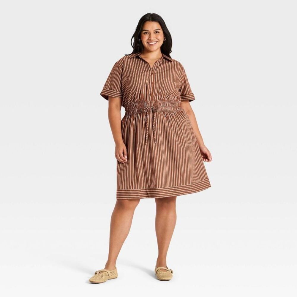 Women's Plus Tie-Waist Button-Up Mini Shirt Dress - Rust Striped 3X